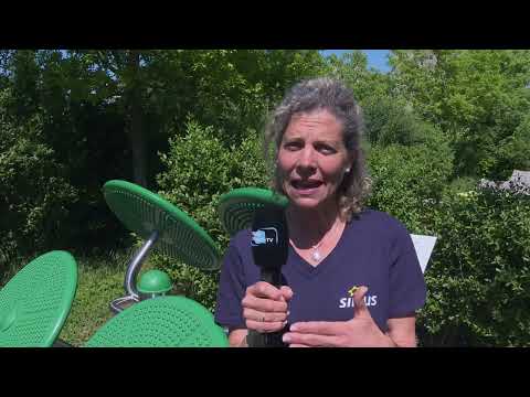 10 Jahre Verein Bewegungspark Arlesheim - Birsstadt-TV Arlesheim