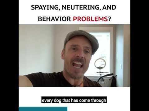 TGD Training Tip: spaying, neutering, and behavior problems...