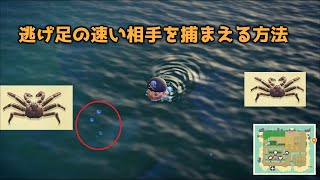 【あつ森】海開き！素潜りで素早い動きの『うみのさち』を捕まえる方法【AnimalCrossing】