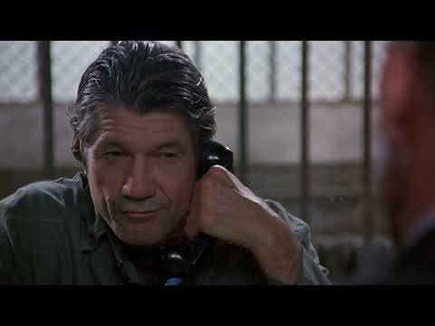 The Naked Gun 33 1/3: The Final Insult