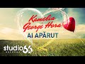 Kamelia si George Hora - Ai aparut (Audio) 