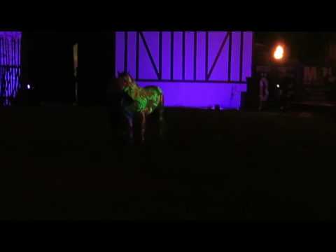 Hero Merkel & Spiritus Lupus Rittershow MPS Speyer 2016 Nachtshow Video 1