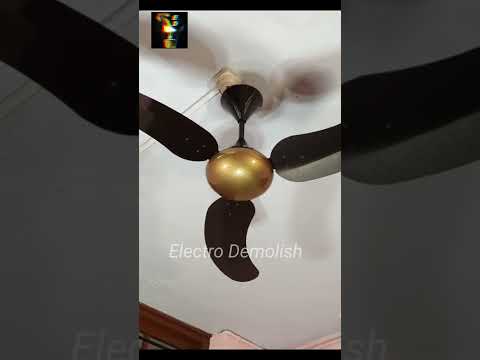 CF gone wild 😜 #fyp #viral #trending