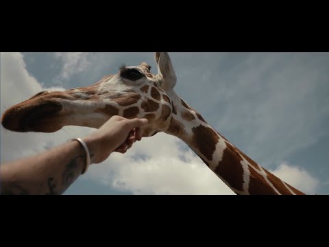 Greg Gold, Markus, Yellow Killerz - Lights (Official Video)