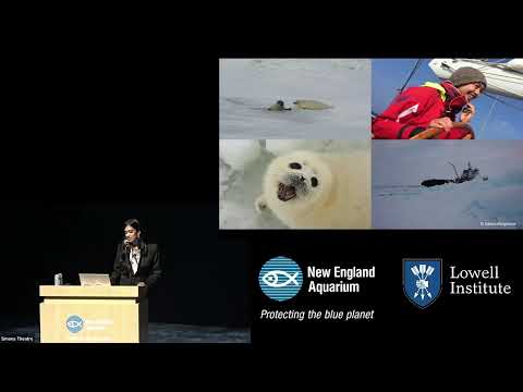 The Power of Storytelling to Protect the Ocean with Sruthi Gurudev