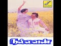 Ullathil Ontru Veliyil Ontru Vesam Podum Manithane Singer S P Shailaja Nallavan High Quality Audio