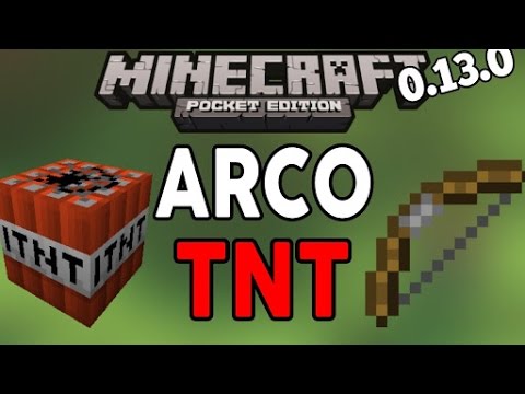 Sky wars #2 (TNT VS ARCO E FLEXA)