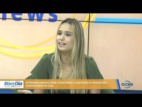 Veterinária orienta sobre alimentação e adaptação de animais não convencionais em casa 01 03 2022