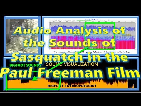 Listen to the famous Paul Freeman film like you've never heard it before!  Here's my audio analysis