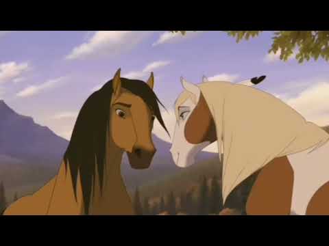 Spirit and rain, janja