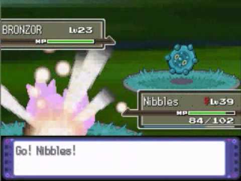 Pachirisu Only Run - Route 215