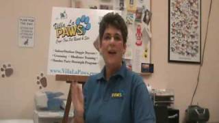 Smelly Dogs: Dog Care Tips from Top Dog Eileen Proctor