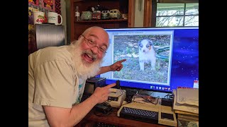 Luna Mya - Our New Baby - a Fuzzy one - Australian Shepherd - Puppy Intro - Man's Best Friend Aussie