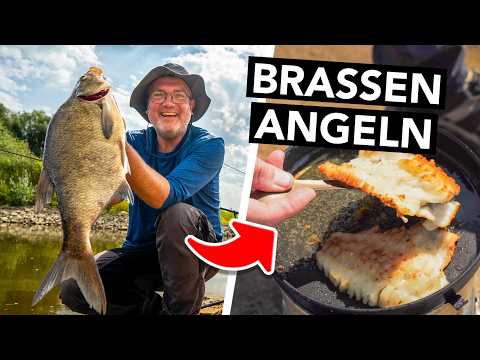 Angeln auf XXL Brassen 🎣 Sind sie wirklich ungenießbar? 🤮