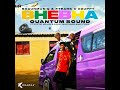 ShauMusiQ & FTears x Xduppy - Bhebha (Official Audio) ft. Myztro, Mellow & Sleazy, Quayr Musiq &…