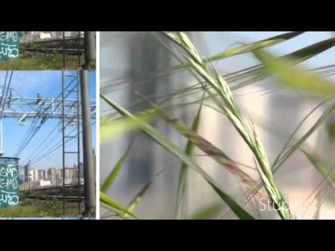 CIRCUMVESUVIANA S.GIORGIO A CREMANO - VIA GIANTURCO di D.Ambrosio