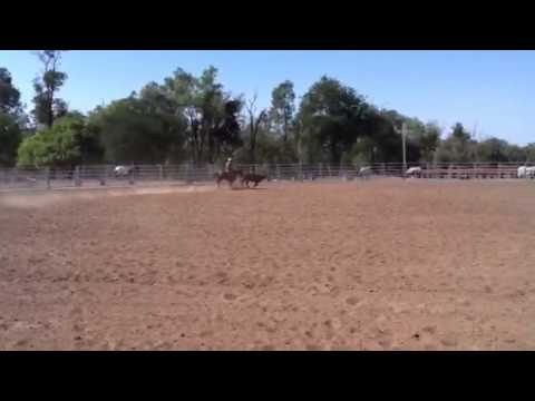 Lot 483 ~ Landmark Classic Sale