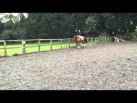 Ballycrinnigan Rock (Boris)