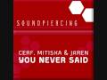 Cerf, Mitiska & Jaren - You Never Said (SPC030 ...