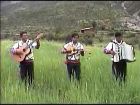 REVELACIÓN ANDINA HUANCAVELICA - FLOR DE ROMERITO