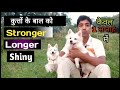 How to make your dog's hair Longer / Stronger and Shiny 😀