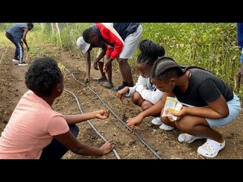 Zimbabwe Sustainable Gardening Project at the Mzilikazi Youth Center