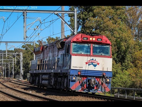 D179 at Woy Woy - FIE002 - 24/8/19