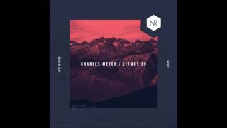 Charles Meyer - Litmus (Original Mix)