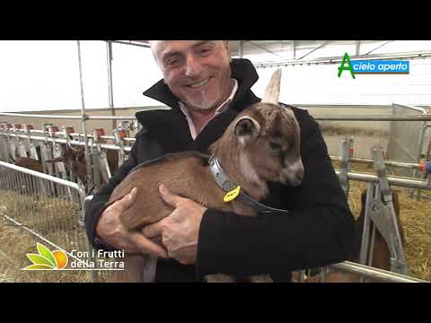 Episode of May 19, 2019 – Part 2 – Breeder by Passion