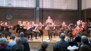 Classical harmonica Filip Jers & Musica Vitae