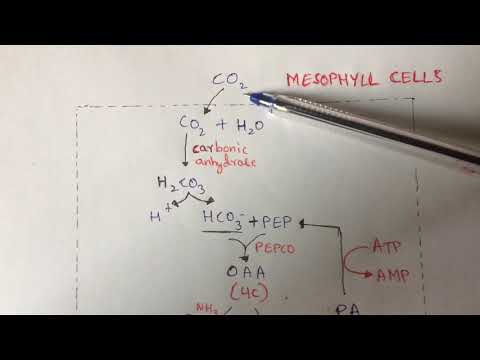 GLYCOLYSIS OR EMP PATHWAY BY PHANINDRA GUPTHA