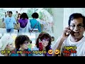 Bramhanandham Genelia Hilarious Comedy With Ramcharan Ramcharan Genelia Telugu Movie Scenes