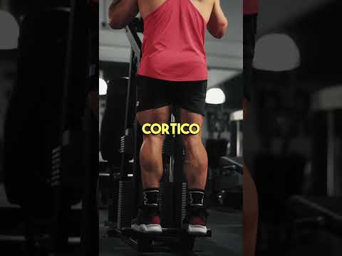 Hack Squat - Elevación de Gemelos en Borde