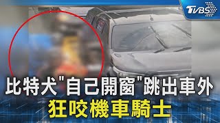 Re: [新聞] 等紅燈遭比特犬 跳窗狂咬不放