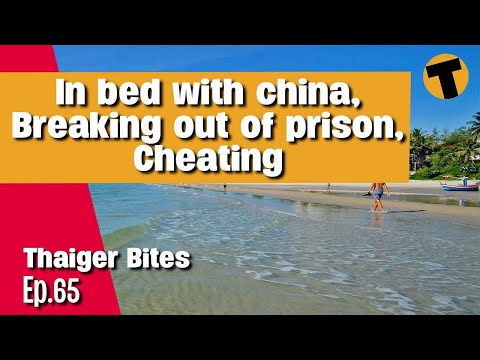 Thai PM Music Video, 'Phat, Chicken Island | Thaiger Bites | Ep.65