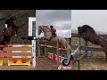 THE BEST HORSE RIDING TIKTOK COMPILATION SHOWJUMPING 2023 #6