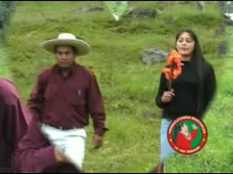 los chiguiripanos - mi amorcito