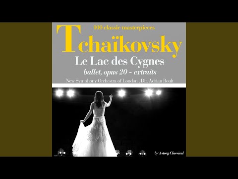 Le lac des cygnes, Op. 20, Act II: No. 13, Pas de deux