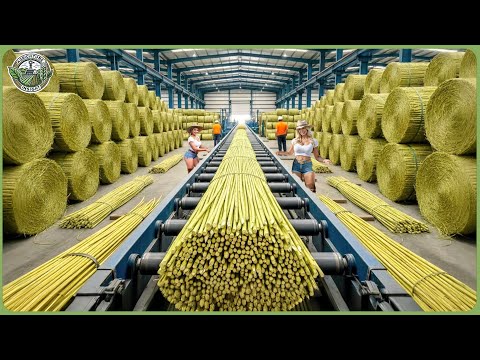 Inside the World’s Largest Hemp Processing Line – How Fiber & Hempcrete Are Made