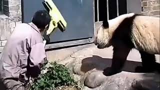 Download lagu (Kata baba) BIKIN KESAL DAN NGAKAK mp3 Download lagu (Kata baba) BIKIN KESAL DAN NGAKAK mp3