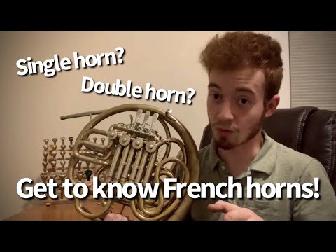 Let's Talk SINGLE vs. DOUBLE Horn: Benefits & Basics!