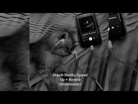 Masih Hatiku Speed Up +  Reverb (Underwater)