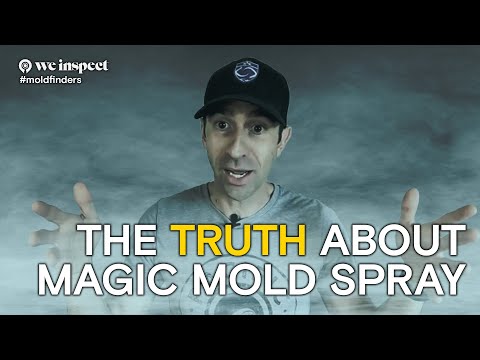 Mold Spray Done The RIGHT Way