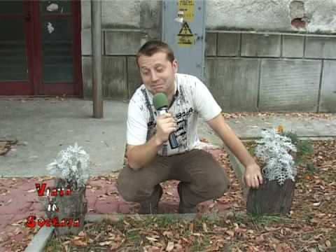 VIS 09.03.2009 - La multi ani Bucovina TV