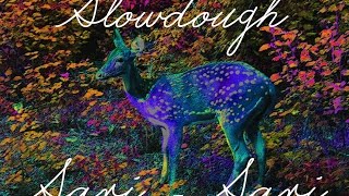 Sari-Sari Music Video