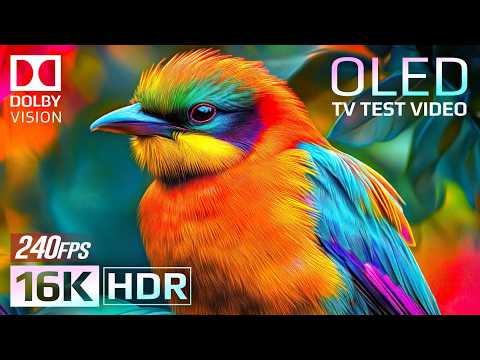 Breathtaking Beauty of the World - 16K HDR 240fps Dolby Vision (4K / 8K TV)