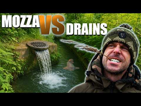 Carp from a ditch?! Mozza VS Drains