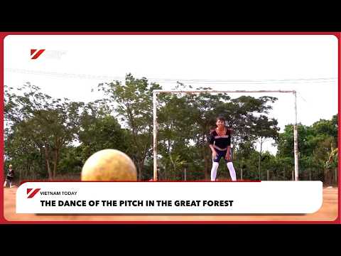 森林裡的音調之舞 | 越南新聞 (The dance of the pitch in the great forest | Vietnam Today)