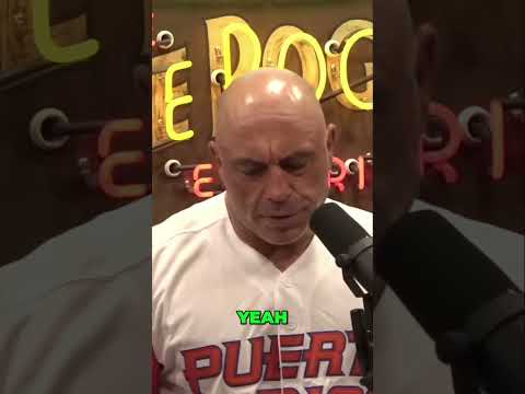 Discover the Legendary Pizza Scene in New Haven!