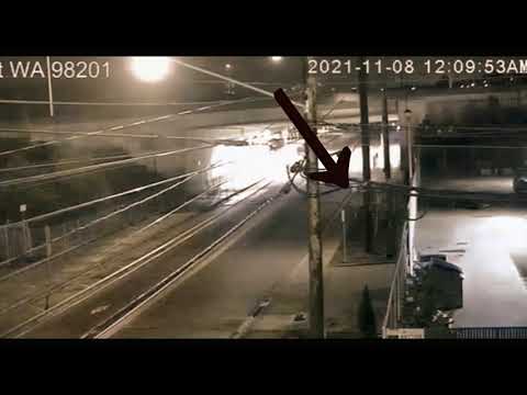 Battle Cat, Fisher Cat, Otter or Giant Thug Rat? U Be Da Judge 👩‍⚖️ Smith Ave (Formerly Tweaker Cam)